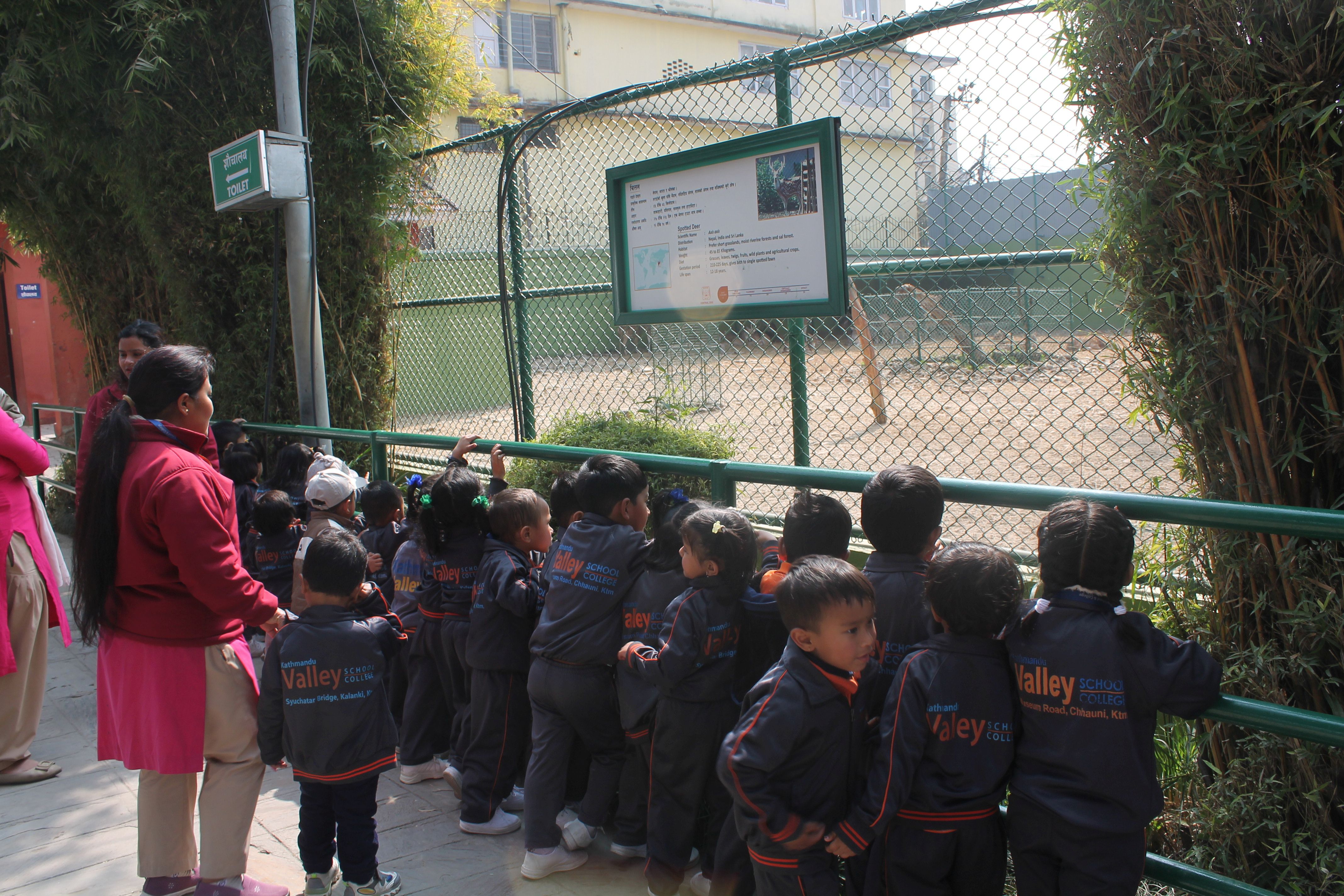Field trip to Central Zoo organized by the school